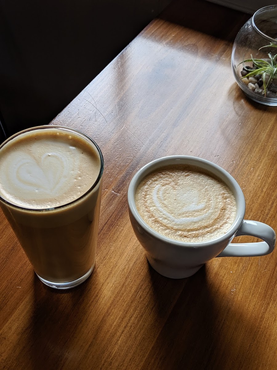 Borealis Coffee Company-6